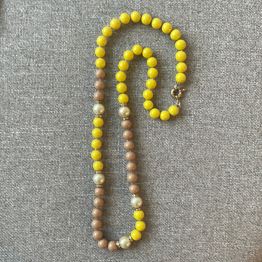 JCrew Resin Long Necklace